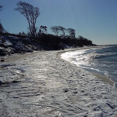 *Strandaster* In Zingst - 100 M Bis Strand, Ruhig, Zentral. 외부 사진
